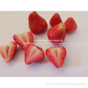 Mesin pengeringan beku buah strawberi
